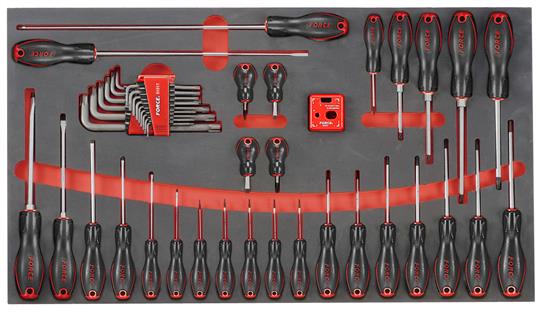FOR F2452 45 dlg set  schroevendraaiers & inbus (foam jumbo 10318)